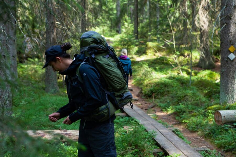 From Helsinki: Mushroom Hunting Tour in a National Park - Getting from Helsinki to Liesjärvi without the hassle