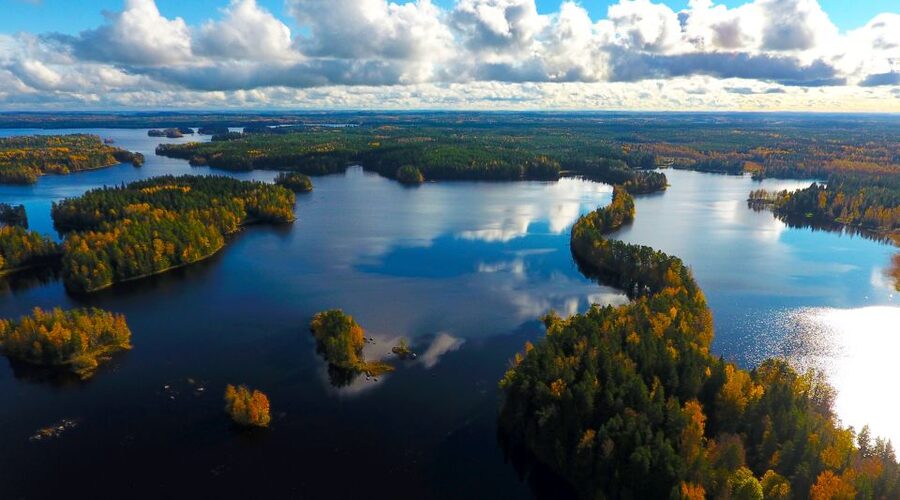 From Helsinki: Mushroom Hunting Tour in a National Park - What the hike feels like, and why small-group size helps