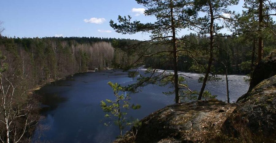 From Helsinki: Nuuksio National Park Half-Day Trip - Forest lakes and wildlife odds that feel real