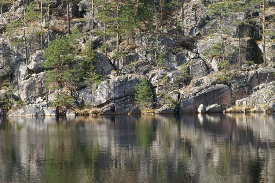 From Helsinki: Nuuksio National Park Half-Day Trip - Price and value: what you get for about $66, plus transport