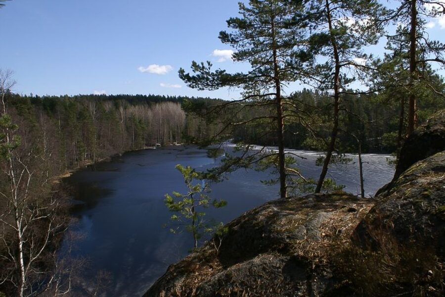 From Helsinki: Nuuksio National Park Half-Day Trip - Nuuksio’s conifer and mixed forest, primeval rocks, and that mossy ground