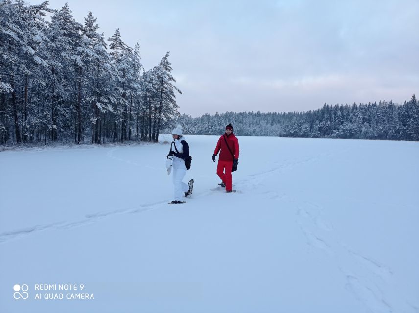 From Helsinki: Nuuksio National Park Hiking Tour with Food - Key Points I’d Use to Decide Quickly