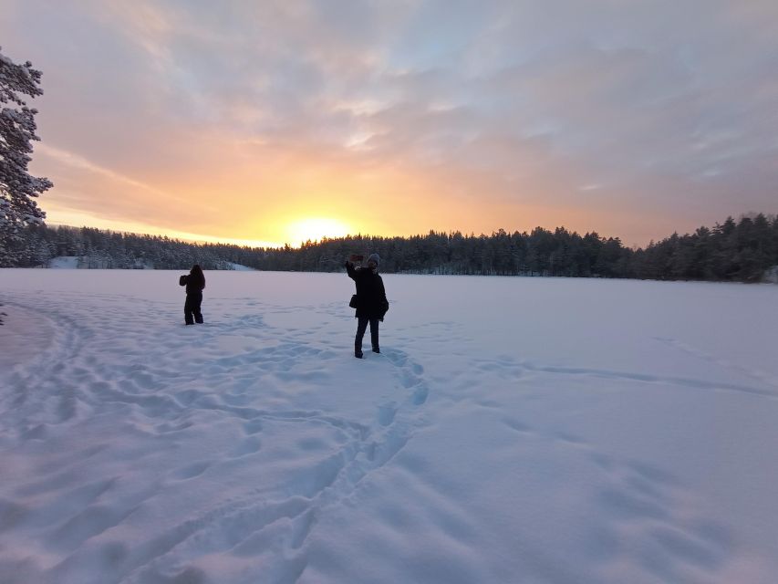 From Helsinki: Nuuksio National Park Hiking Tour with Food - Laavu Finale: Homemade Mushroom Soup, Bread, and a Real Camp Feeling