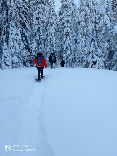 From Helsinki: Nuuksio National Park Hiking Tour with Food - Price and Value: Why $110 Can Feel Worth It