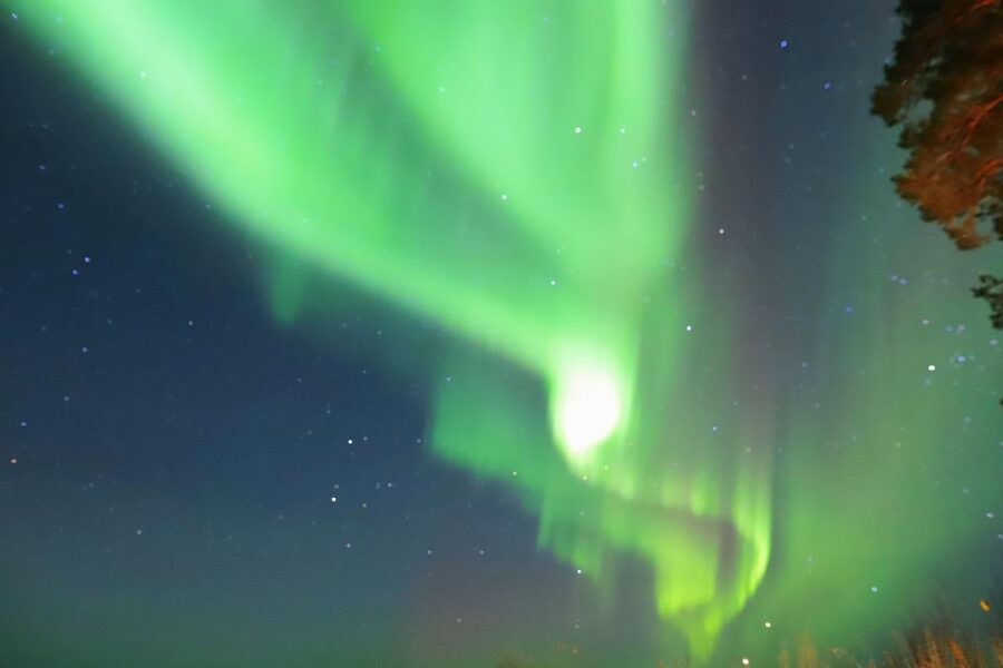 From Rovaniemi: Aurora Borealis Trip in Lapland Lakeside - Key highlights to know before you go