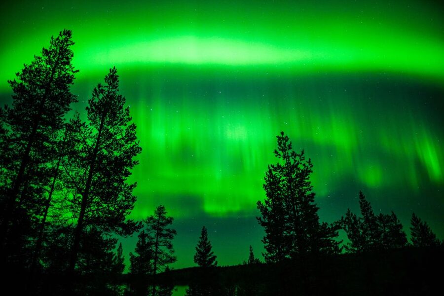 From Rovaniemi: Family-Friendly Northern Lights Tour - Who should book this family Northern Lights tour, and who should skip it