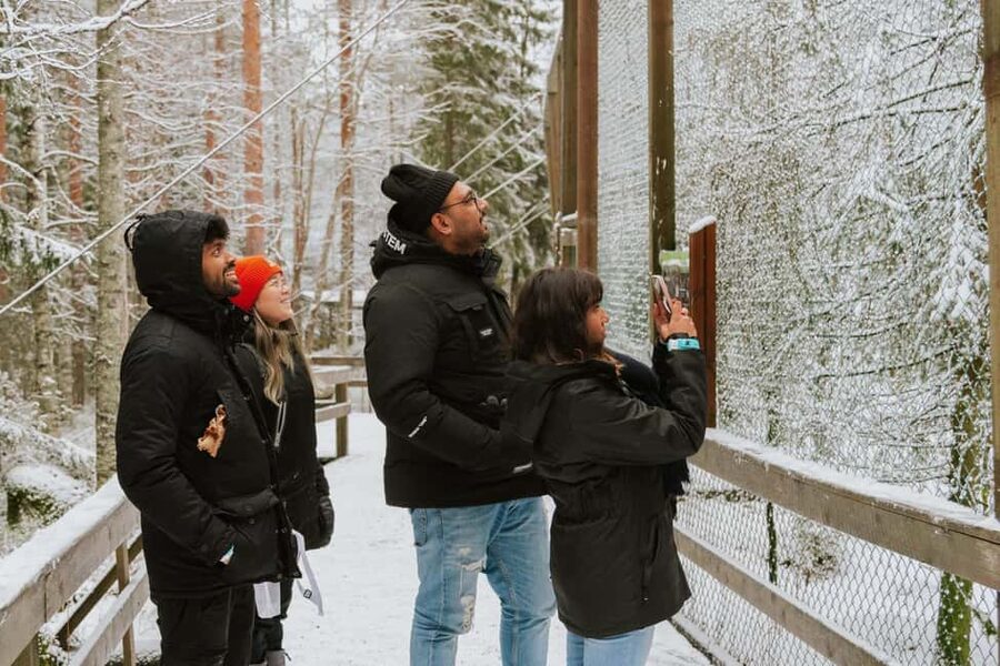 From Rovaniemi: Family Friendly Visit to Ranua Wildlife Park - The small-group format that keeps Ranua from feeling rushed