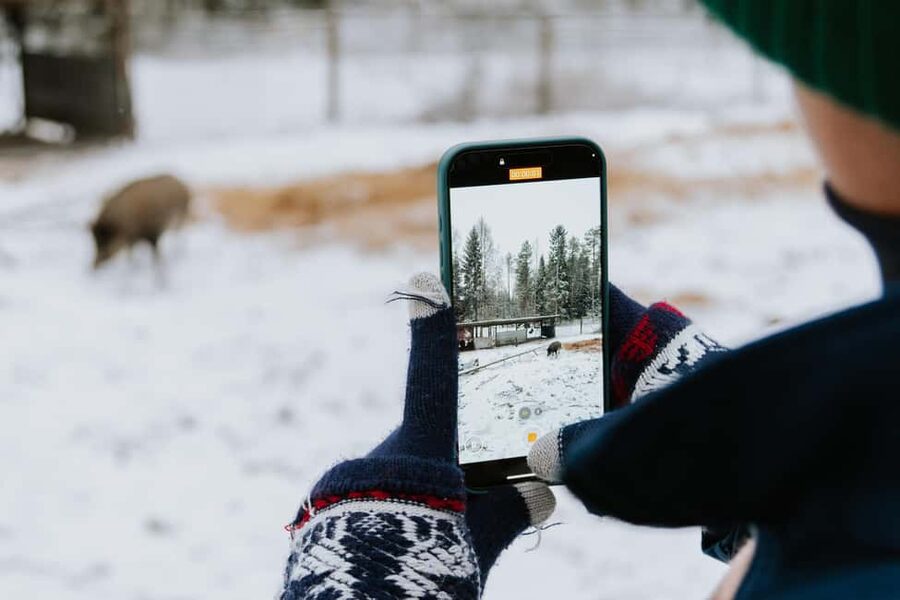 From Rovaniemi: Family Friendly Visit to Ranua Wildlife Park - Getting from Rovaniemi to Ranua: the van ride is part of the plan