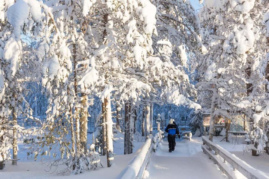 From Rovaniemi: Family Friendly Visit to Ranua Wildlife Park - Who this tour suits best in Rovaniemi