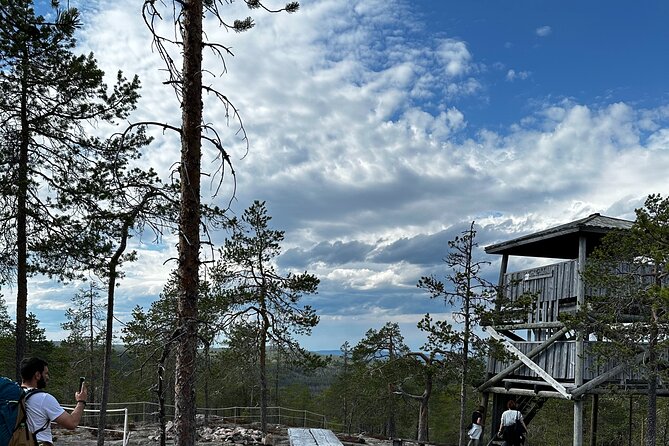 From Rovaniemi: Full Day Tour to Lapland's Attractions - Vikaköngäs nature trail: a calm ending with real time outdoors (2 hours)