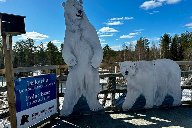 From Rovaniemi: Full Day Tour to Lapland's Attractions - Food and the little comfort touches that make the day feel worth it
