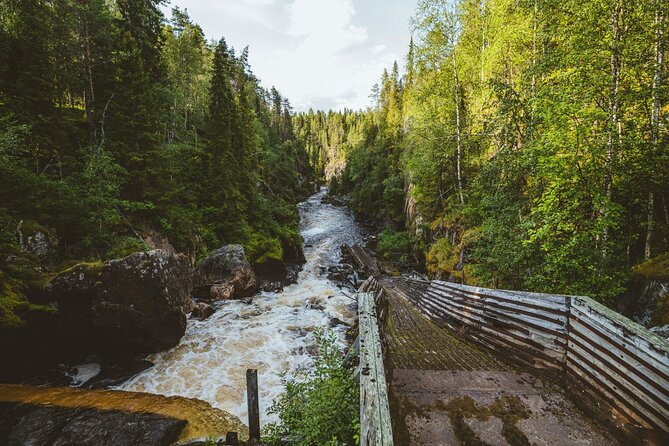 From Rovaniemi: Full Day Tour to Lapland's Attractions - The guide matters: what to look for in Latif, Liv, and Leif-style hosting