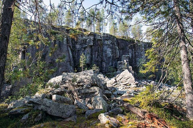 From Rovaniemi: Full Day Tour to Lapland's Attractions - Price and value: what you are really paying for