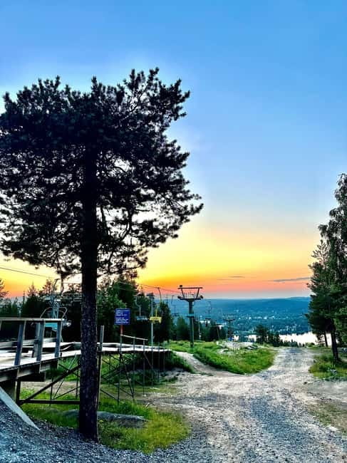 From Rovaniemi: Full-Day Tour to Lapland's Best Attractions - Why this Rovaniemi full day works so well