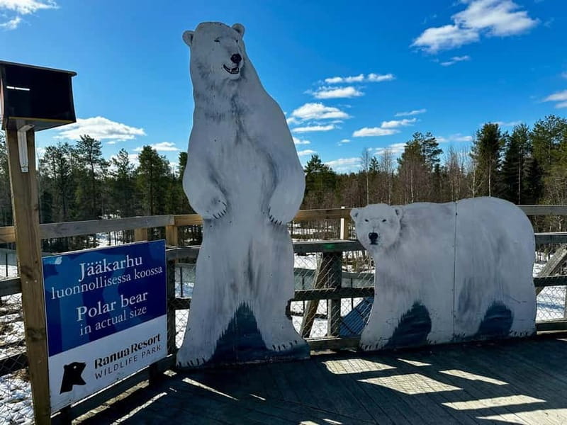 From Rovaniemi: Full-Day Tour to Lapland's Best Attractions - Auttiköngäs Waterfalls: the hike stop that gives you payoff