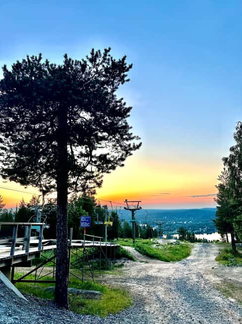 From Rovaniemi: Full-Day Tour to Lapland's Best Attractions - Midnight Sun from the hill: a practical way to see the magic
