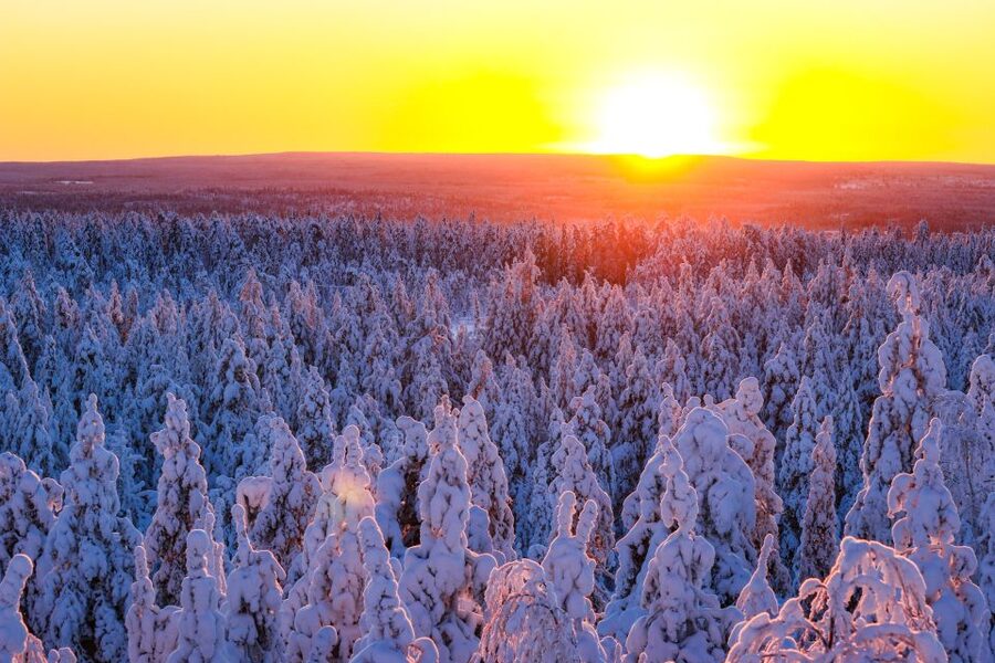 From Rovaniemi: Guided Lapland Snowmobile Adventure - What a 4-hour Rovaniemi snowmobile safari really feels like