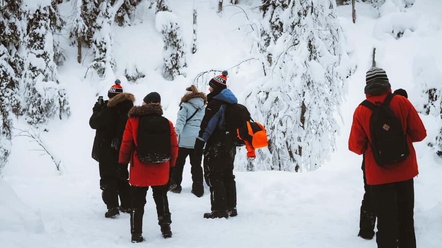 From Rovaniemi: Korouoma & Auttiköngäs Frozen Waterfalls - Small group travel in Lapland: better for families, better for questions