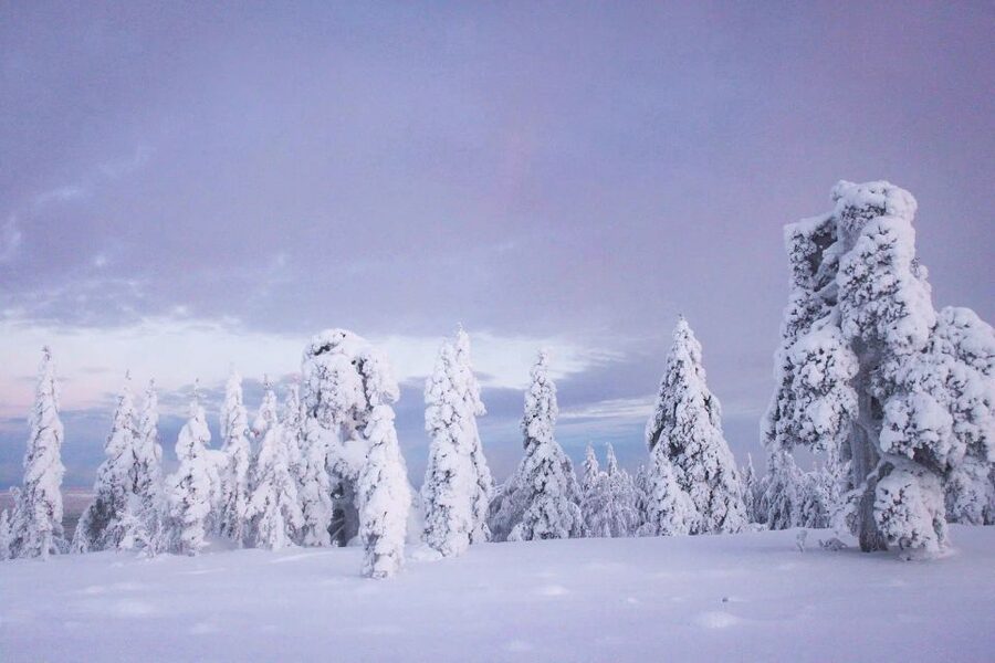 From Rovaniemi: Korouoma Canyon and Frozen Waterfalls Tour - Korouoma Canyon: a long canyon that turns into ice art