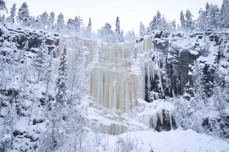 From Rovaniemi: Korouoma Canyon and Frozen Waterfalls Tour - What your guide adds: facts, safety, and Arctic nature clues