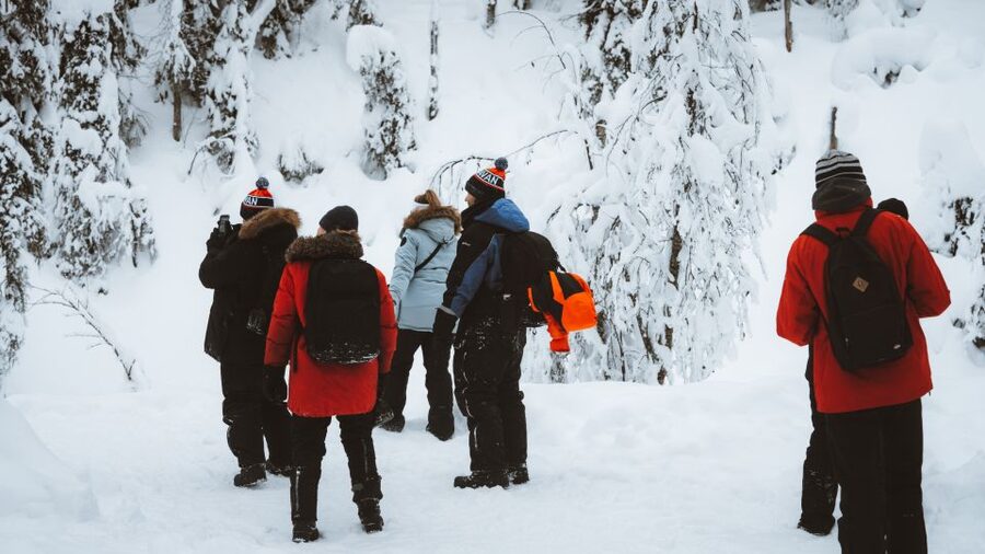 From Rovaniemi: Korouoma Canyon and Frozen Waterfalls Tour - Who this tour fits best, and who should skip it