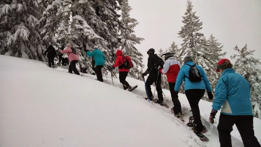 From Rovaniemi: Korouoma Frozen Waterfalls Small-Group Hike - The hot tea and biscuits break that actually helps