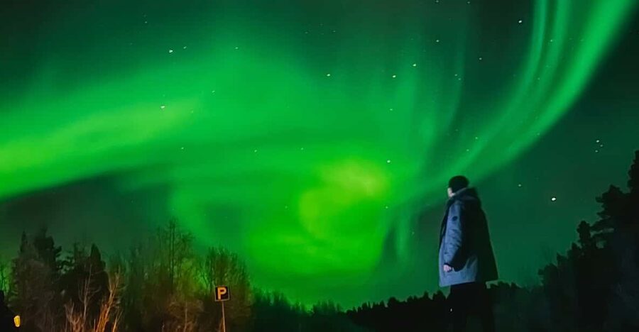 From Rovaniemi: Lapland Aurora Hunt with Barbeque - Aurora Hunting With Lapland Barbeque: What This 3-Hour Night Really Feels Like