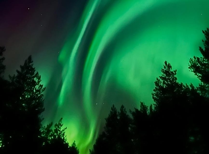 From Rovaniemi: Lapland Aurora Hunt with Barbeque - The Pickup, Timing, and Why 8:00 PM Can Shift
