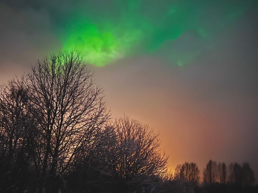 From Rovaniemi: Lapland Aurora Hunt with Barbeque - Price and Value for a Rovaniemi Northern Lights Hunt