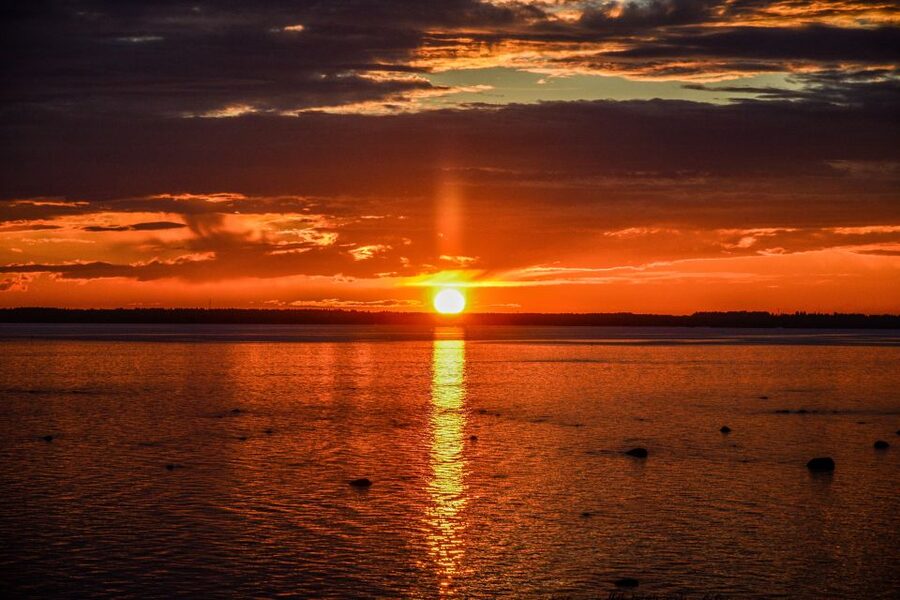 From Rovaniemi: Midnight Sun Forest Lake Float - Key Points You Should Know