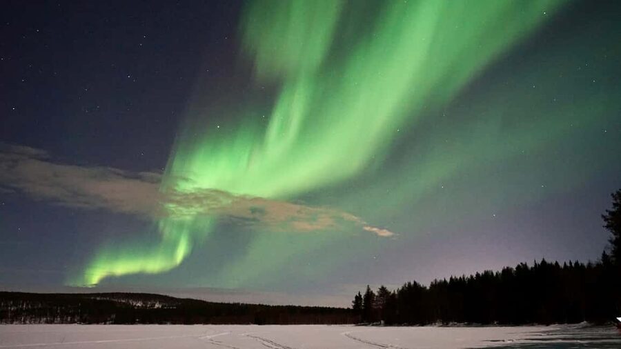 From Rovaniemi: Northern Lights Photo Tour with Pickup - Price and value: what $74 buys in the real world