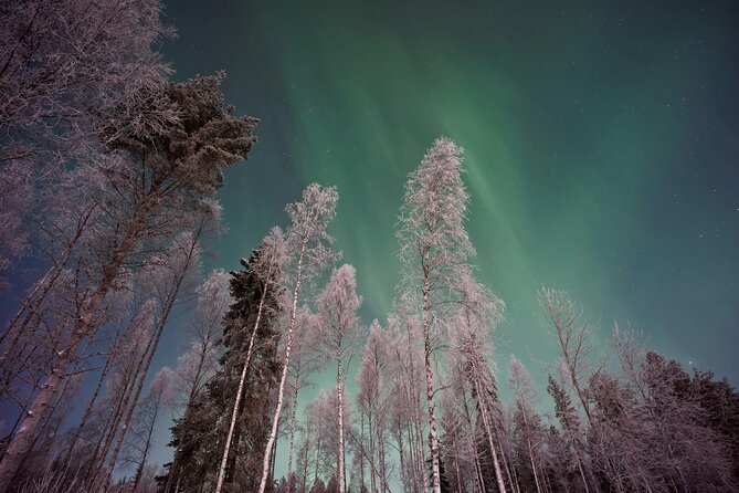 From Rovaniemi: Northern Lights Tour with Campfire Snacks - Key things I’d bookmark before you go