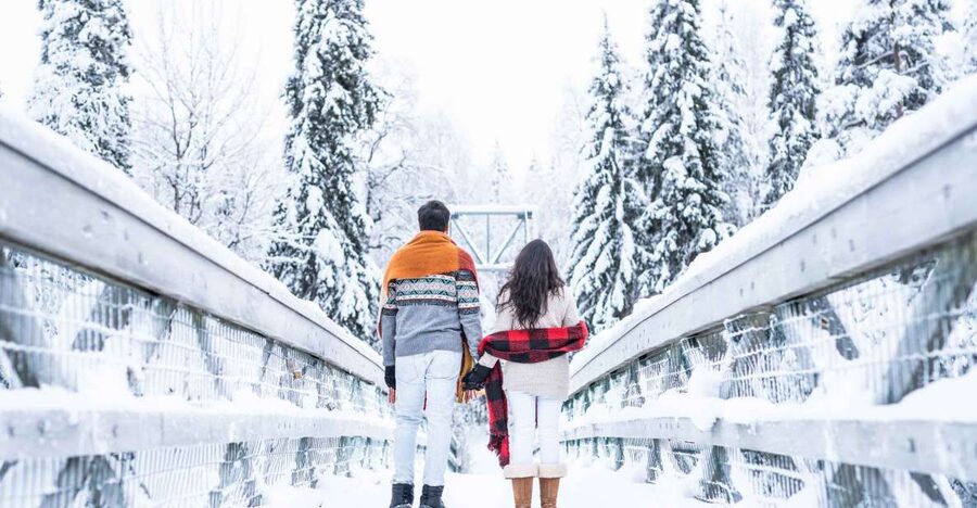 From Rovaniemi: Private Photoshoot in the Lappish Wilderness - Key Highlights You Should Know Before You Go