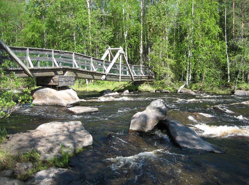 From Rovaniemi: Vikaköngäs Forest Hiking Tour - Key Points You Should Care About