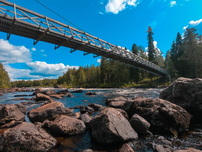 From Rovaniemi: Vikaköngäs Forest Hiking Tour - Getting to Vikaköngäs from Rovaniemi, with minimal hassle