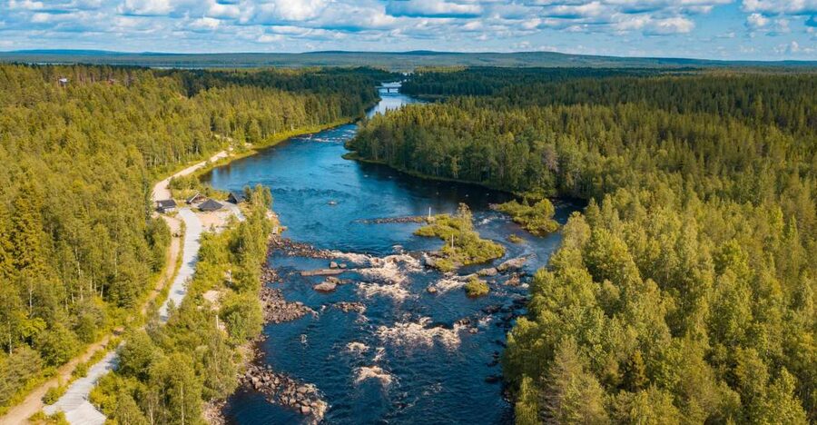 From Rovaniemi: Vikaköngäs Forest Hiking Tour - Crossing the wooden hanging bridge, where the water takes over