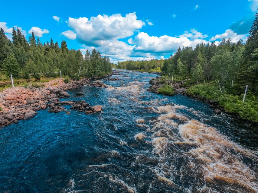 From Rovaniemi: Vikaköngäs Forest Hiking Tour - The 1 to 2 km trail that hits forest, gorges, and lakes