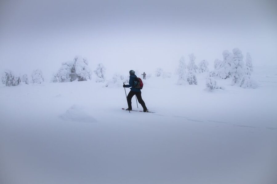 From Rovaniemi: Winter Wonderland Hike with a Hot Drink - The hike route: calm snow walking with room for photos