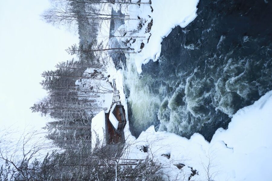From Ruka: Snowshoeing in Oulanka National Park - Key Things You Will Notice
