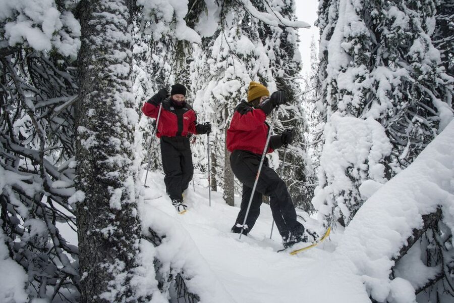 From Ruka: Snowshoeing in Oulanka National Park - Following the River Into Oulanka National Park