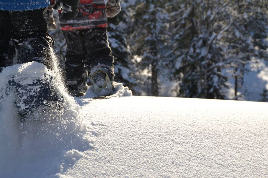 From Ruka: Snowshoeing in Oulanka National Park - Little Bears Trail: Your 3.5-Hour Snowshoe Walk