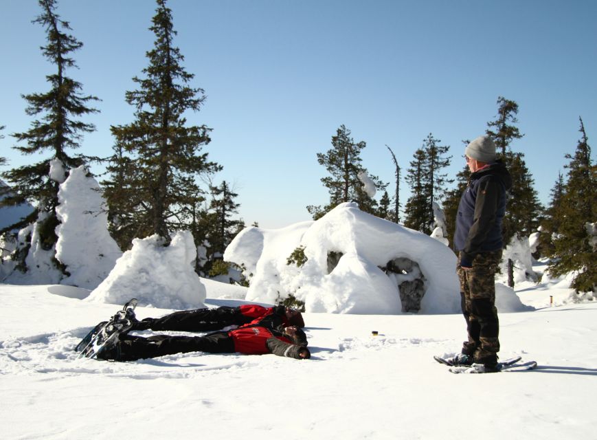 From Ruka: Snowshoeing in Riisitunturi National park - Riisitunturi National Park: Why this snowshoe trip feels special