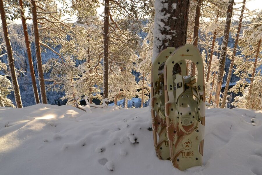 From Ruka: Snowshoeing in Riisitunturi National park - Where you meet Ruka Safaris, and how pickup fits your day