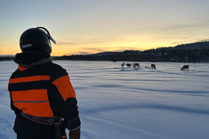 From Saariselkä: Ice Fishing Tour to Lake Inari, reindeers &lunch - Ice fishing on Lake Inari: instruction, patience, and real cold realism
