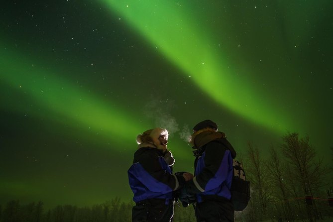 From Saariselkä: Northern lights tour to Lake Inari, incl. dinner - Dinner by campfire in a Lappish teepee: what you will eat