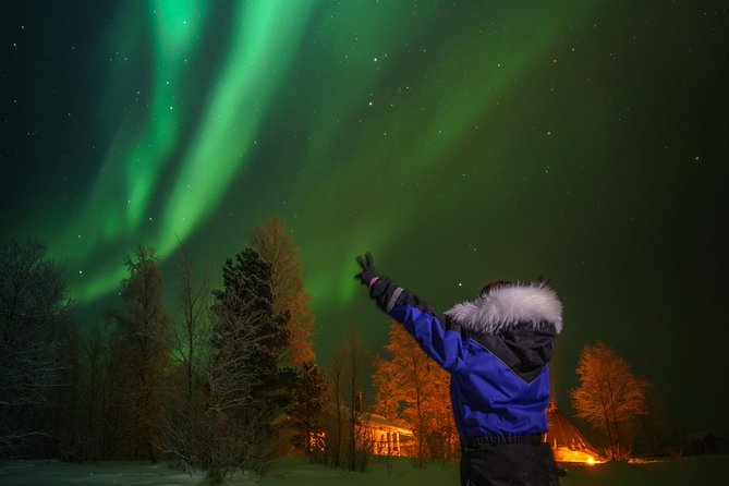 From Saariselkä: Northern lights tour to Lake Inari, incl. dinner - Sleigh ride to the lake: the best kind of slow motion