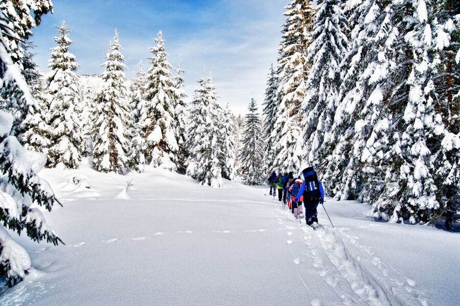 From Sirkka: Levi Summit Guided Nature Snowshoeing Tour - Why Levi Summit Snowshoeing Feels Like a Winter Reset