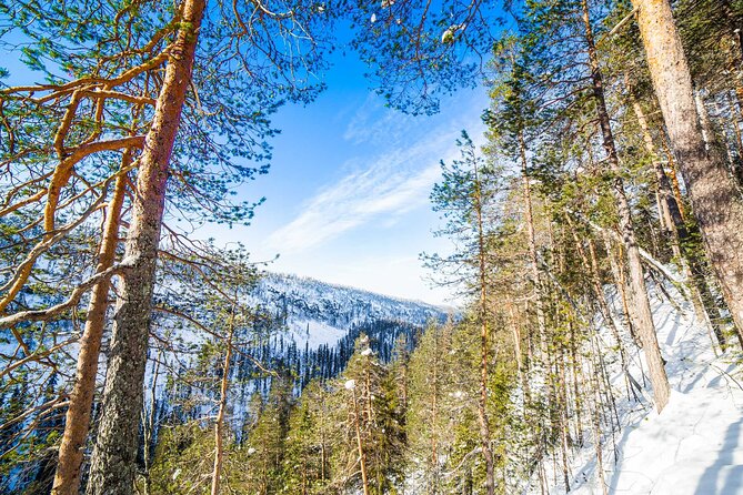 Frozen Waterfalls of Korouoma Canyon tour with Pro Photos & BBQ - Where you go: frozen waterfalls, then the canyon viewpoint