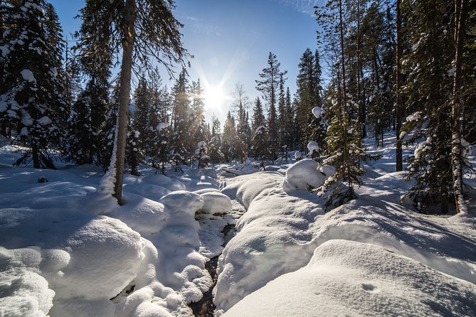 Frozen Waterfalls of Korouoma Canyon tour with Pro Photos & BBQ - BBQ lunch in the wild: warm food, hot drinks, and a break that actually refreshes you