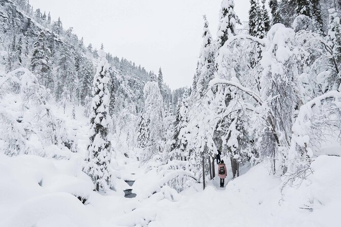 Frozen Waterfalls of Korouoma Canyon tour with Pro Photos & BBQ - Guides matter: the care, the knowledge, and the calm in the ice